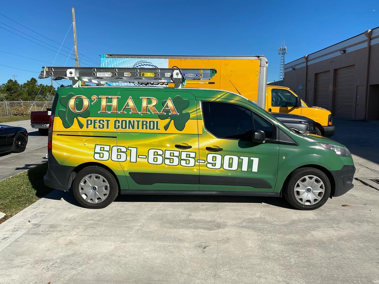 What To Include On Your Vehicle Wrap