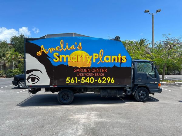 Business Car Wraps in Delray Beach